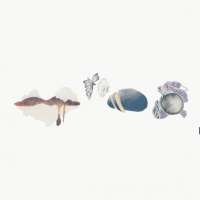 http://www.anthea-lubat.com/files/gimgs/th-7_synapsiesite_6.jpg
